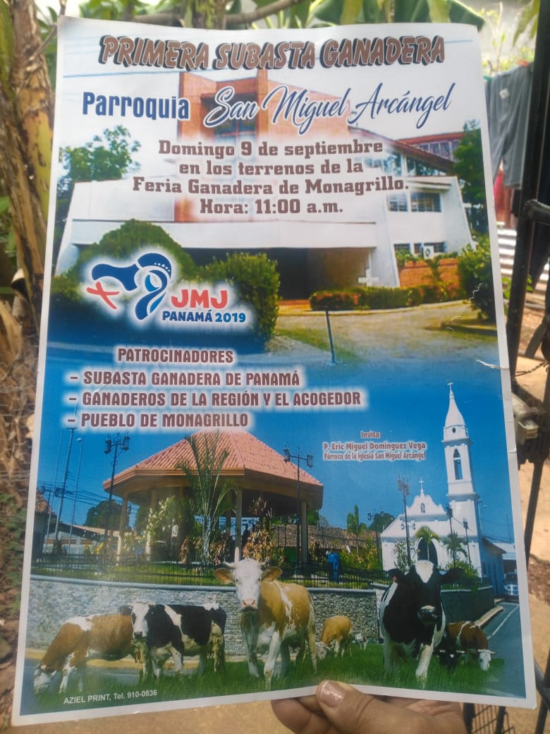 0ed1fa16 8951 4cef bcad f870e297f94b